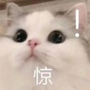 鬼鬼狸花喵