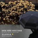 刘先生的头像