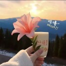 周小莉