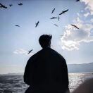 像风如你的头像-创薯资源