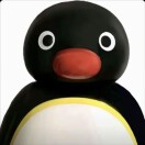 pingu