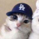 Rduuu