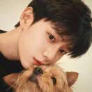 面包脑袋的头像-辰星笔记