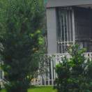 弈剑のㄨ听雨阁