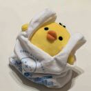 伦敦求租