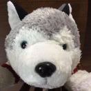 zhwning's Avatar