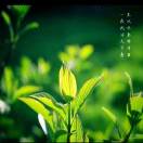 米兰（拒绝闲聊）