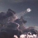 吴先生的头像