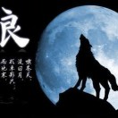网路