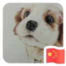 偌