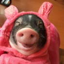 是兄弟就来砍我