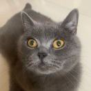 换了名字还是我