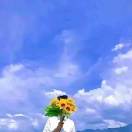 井先生的头像