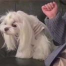 吴先生的头像