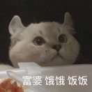 ifdyu's Avatar