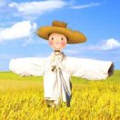 麦田守望 报名时间：2026-01-17 14:39