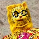 金钱豹的头像