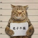 wjqinhuihua的头像-小小MOD吧