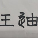 王迪
