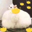 Sun千万