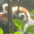 linko的头像-日本！日本语