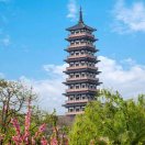 相識(shí)就是緣