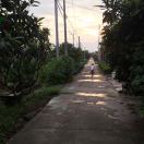 旅游的鱼114
