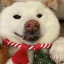 寻得浮生半日闲