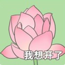 ℡⁰⁶⁶⁸ᯤᯤ⁶ᴳ我已戒烟