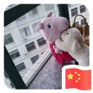 中铝双峰总代理--朱万春