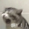 https://thirdwx.qlogo.cn/mmopen/vi_32/bAiclianJib3WJiasuZMwzGNAbQ8GFGEU8fNuemRfHyIp3oof0NokhGgD0rdp58GGmfV3fvKNmjCZmLymIkTK5jG0ogOBw7iaqTPicNPPKvjvbtgM/132