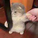 用户评价