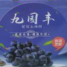 🍇九园丰葡萄采摘园🍇