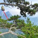 试试的头像-951博客