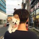 不作的头像-博士钣金 - www.bsbanjin.com