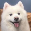 Cora