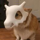 u客直谈实名认证许扬扬