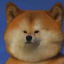 大展宏图梭子蟹