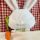 夏夜最后的烟火