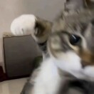 吕瑞格