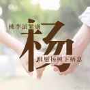 星友334824