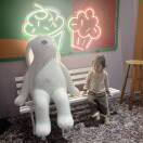 逐风的头像-87副业网