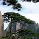 黎晨的头像-博士钣金 - www.bsbanjin.com