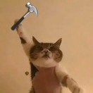 桶你大腰子的头像-博士钣金 - www.bsbanjin.com