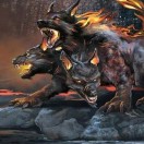Cerberus