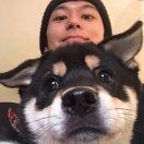 waylonzhuge's Avatar