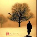 周志強(qiáng)