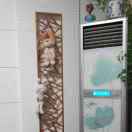 券妈妈会员: 没红糖