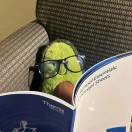 要喝黑糖珍珠🧋