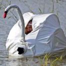 吃火龙果要吐籽